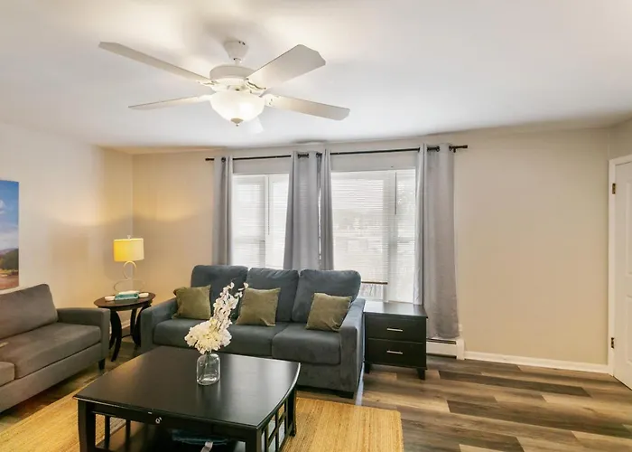Modern New Just A Half Mile To Dt Apartment